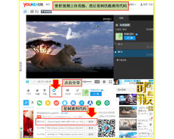 [点微]同城分类信息如何添加视频代码？