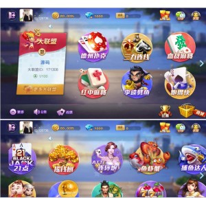 网狐旗舰版棋牌平台完整全套源码