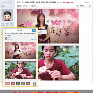 优酷视频解析播放PC+手机触屏版