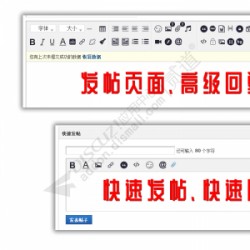 DZ插件编辑器美化