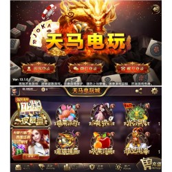 天马电玩棋牌（一夜暴富）含加解密工具