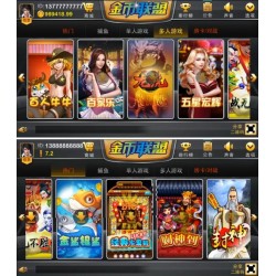 金币联盟网狐二次开发版本