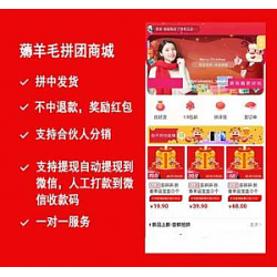 薅羊毛拼团商城V2.8.2