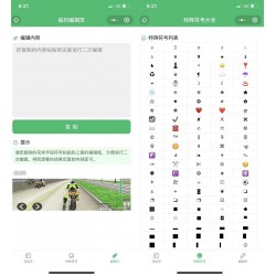 花样字体转换器小程序源码_支持多种花样字体不同风格