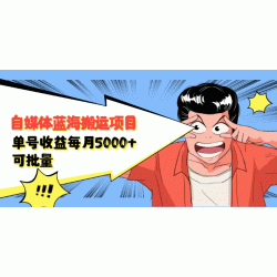 自媒体蓝海搬运项目：单号收益每月基本都可以达到5000+，可批量