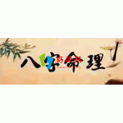 曲炜八字命例、判断技巧点拨班