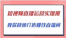 短视频直播运营实践课，直播带货，精细化运营实践，教你快速搭建盈利直播间。