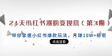21天小红书涨粉变现营：带你掌握小红书爆款玩法，月赚10W+秘密