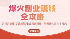 爆火副业赚钱全攻略实打实演练/学完就能用/全渠道赚钱，带普通人月入３万元