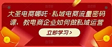 大圣电商哪吒·私域电商流量密码课，教电商企业如何做私域运营