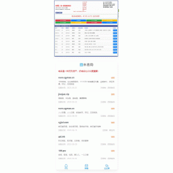 【亲测】勇帅米表系统_域名展示出售系统 PC+H5双端自适应页面