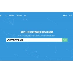 深度SEO分析工具源码Turbo Website Reviewer