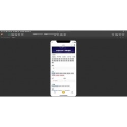 NovelAI 绘画微信小程序源码