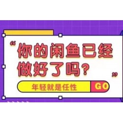 火爆全网的咸鱼玩法进阶课程