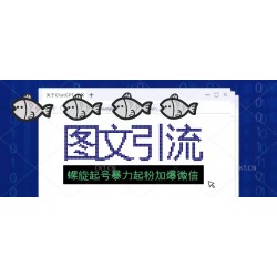 23年价值1980的图文引流创业粉螺旋起好技术暴力起粉加爆微信