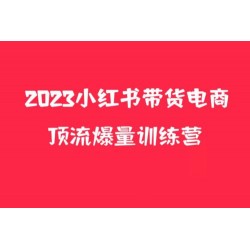 小红书电商爆量训练营，月入3W+！可复制的独家养生花茶系列玩法