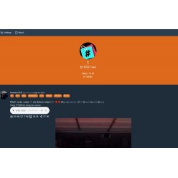 支持国内直连国际版抖音TikTok的简易程序 ProxiTok