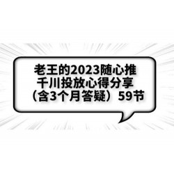 老王的 2023 随心推 + 千川投放心得分享 3 个月答疑「 59 节」