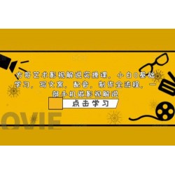 影视解说实战课：小白 0 基础写文案、配音、制作全流程，一部手机做影视解说