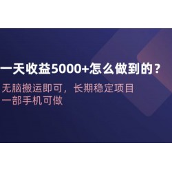 一天收益 5000+ 怎么做到的？无脑搬运即可，长期稳定项目，一部手机可做