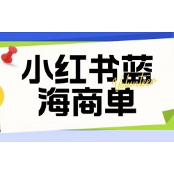 价值2980的小红书商单项目暴力起号玩法