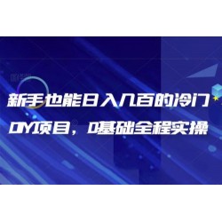 揭秘：新手也能日入几百的冷门 DIY 项目，0 基础全程实操