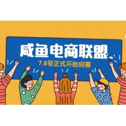 闲鱼精品课：教你打造日入 500+ 的闲鱼店铺，细致讲解看完就会