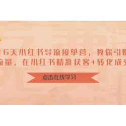 16 天小红书导流接单营：教你引爆流量，在小红书精准获客+转化成交