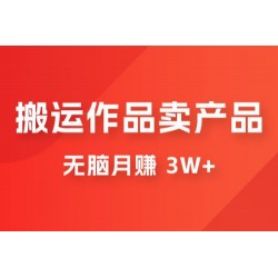 搬运作品卖产品一件 9.9，无脑月赚 3w+，附带全套实操课程（揭秘）
