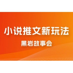小说推文的全新玩法，黑岩故事会，单个作品收益 300+，简单暴力
