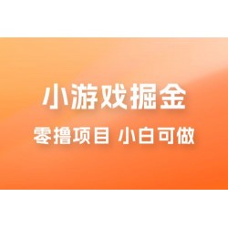 如何通过小游戏掘金月入过万，附引流，养机教程