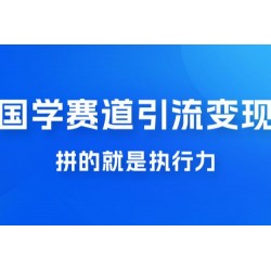 国学赛道引流粗暴变现，一个月一辆 BBA，拼的就是执行力