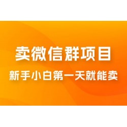 最新卖微信群项目玩法拆解：新手小白第一天就能卖，日入 300+