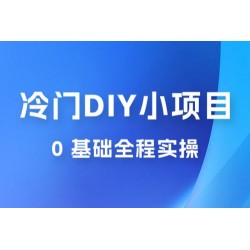 日入几百的冷门 DIY 小项目 0 基础全程实操