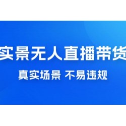 日入 500+ 的实景无人直播带货最新玩法