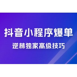 逆林抖音小程序爆单玩法，独家高级技巧，小白也可日入 300+