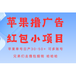 苹果系统掘金项目 单号日入30-50+