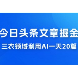 外面卖 1980 的今日头条文章掘金，三农领域利用 AI 一天 20 篇，轻松月入过万