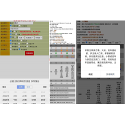 全网首发 九龙道长同款样式八字排盘程序 八字排盘算命源码